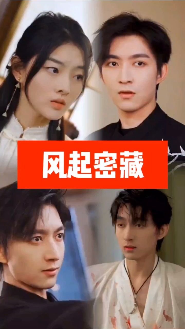 风起密藏全集(大结局)