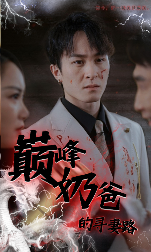 巅峰奶爸的寻妻路全集(大结局)