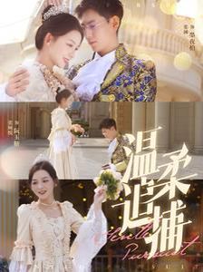 温柔追捕全集(大结局)