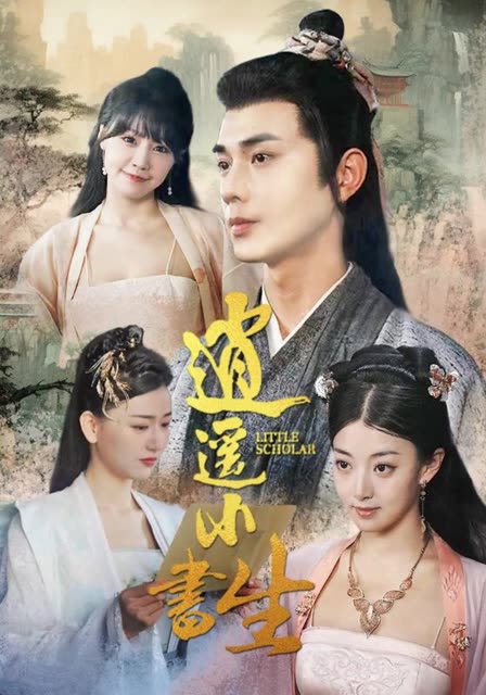 逍遥小书生全集(大结局)