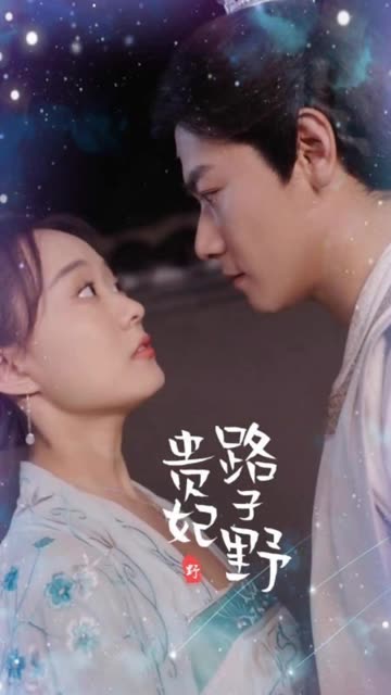 贵妃路子野全集(大结局)