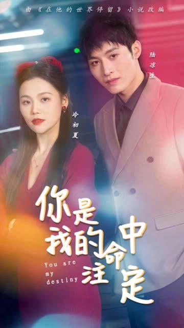 你是我的命中注定全集(大结局)