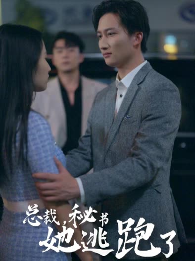 总裁，秘书她逃跑了全集(大结局)