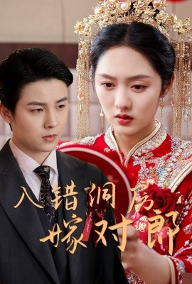 入错洞房嫁对郎(全集)
