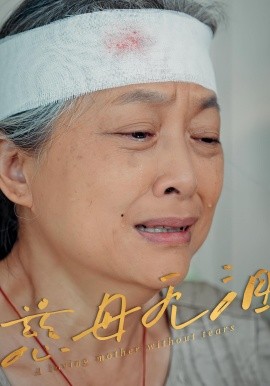 慈母无泪(全集)